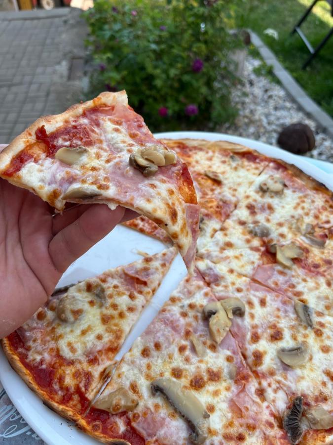 H@M Penzion Žlutice Eksteriør bilde